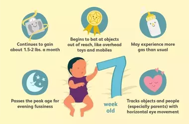 Navigating the 7th Week: Your Baby's Journey of Growth and Discovery
