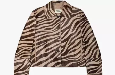 Beyond Leopard: Embracing Zebra Print in Contemporary Fashion