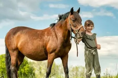 43 Equine-Inspired Names for Your Future Horse Enthusiast