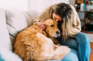 Understanding Your Dog's Affectionate Habit of Spot-Stealing